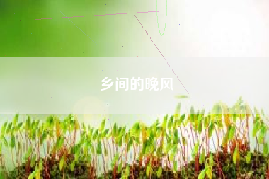 乡间的晚风