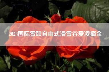 2023国际雪联自由式滑雪谷爱凌摘金