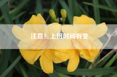 注意！上班时间有变
