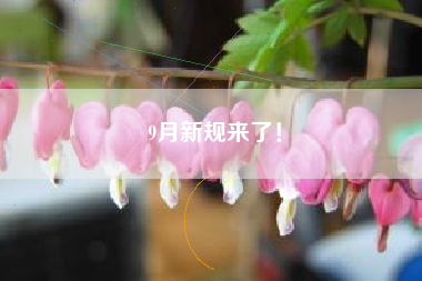 9月新规来了！