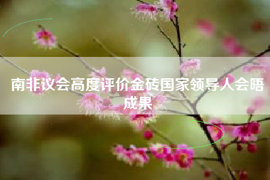 南非议会高度评价金砖国家领导人会晤成果