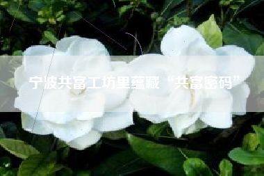 宁波共富工坊里蕴藏“共富密码”