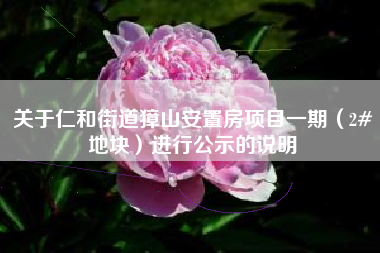 关于仁和街道獐山安置房项目一期（2#地块）进行公示的说明