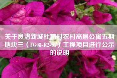 关于良渚新城杜甫村农村高层公寓五期地块三（FG08-R2-05）工程项目进行公示的说明