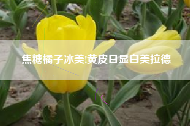 焦糖橘子冰美!黄皮日显白美拉德