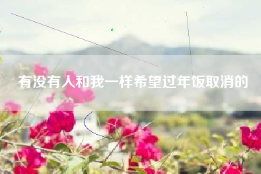 有没有人和我一样希望过年饭取消的