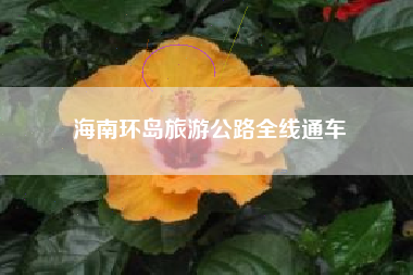 海南环岛旅游公路全线通车