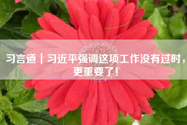 习言道｜习近平强调这项工作没有过时，更重要了！