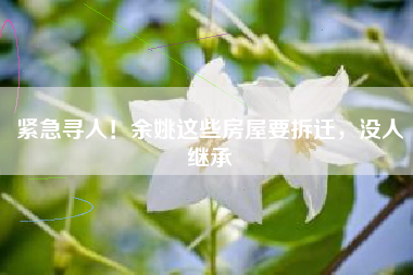 紧急寻人！余姚这些房屋要拆迁，没人继承