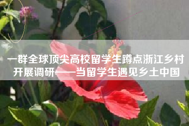 一群全球顶尖高校留学生蹲点浙江乡村开展调研——当留学生遇见乡土中国