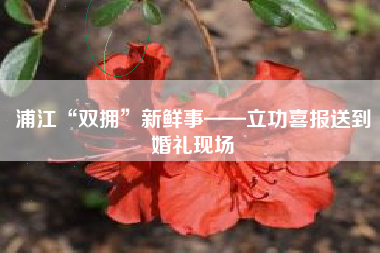 浦江“双拥”新鲜事——立功喜报送到婚礼现场