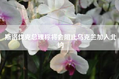 斯洛伐克总理称将会阻止乌克兰加入北约
