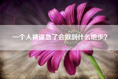 一个人被逼急了会做到什么地步？