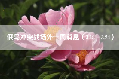 俄乌冲突战场外一周消息（3.18－3.24）