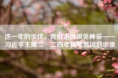 这一年的步伐，我们走得很见神采——习近平主席二〇二四年新年贺词启示录③