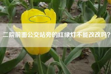 二院前面公交站旁的红绿灯不能改改吗？