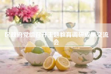 区政府党组召开主题教育调研成果交流会