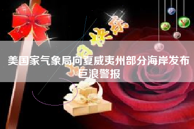 美国家气象局向夏威夷州部分海岸发布巨浪警报