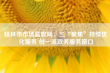 桂林市市场监管局：三“聚焦”持续优化服务 创一流政务服务窗口