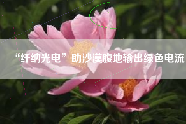 “纤纳光电”助沙漠腹地输出绿色电流