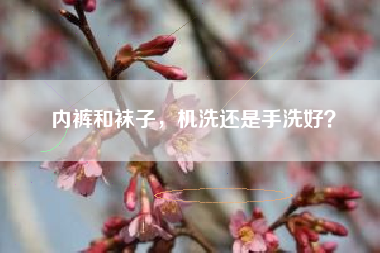 内裤和袜子，机洗还是手洗好？