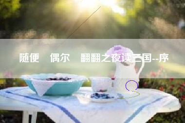 随便﹙偶尔﹚翻翻之夜读三国--序