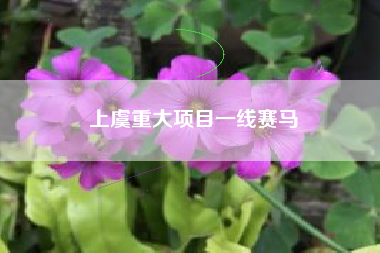 上虞重大项目一线赛马