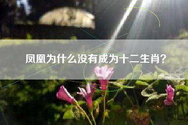 凤凰为什么没有成为十二生肖？