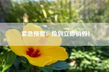 紧急预警：捡到立即销毁！