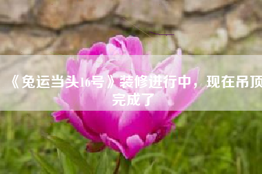 《兔运当头16号》装修进行中，现在吊顶完成了