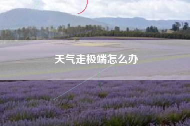 天气走极端怎么办