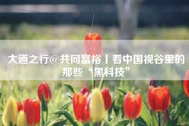 大道之行@共同富裕丨看中国视谷里的那些“黑科技”