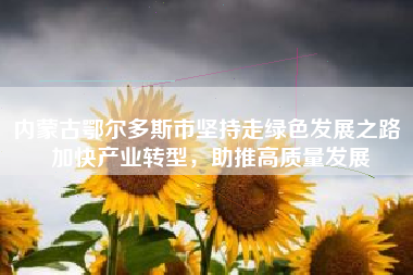 内蒙古鄂尔多斯市坚持走绿色发展之路 加快产业转型，助推高质量发展