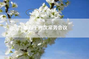 第五十四次常务会议