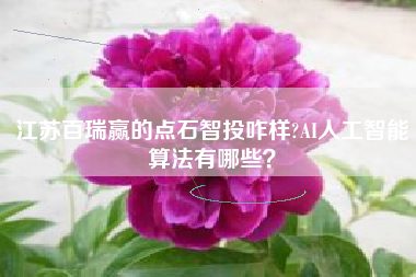江苏百瑞赢的点石智投咋样?AI人工智能算法有哪些？