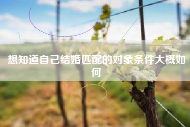 想知道自己结婚匹配的对象条件大概如何