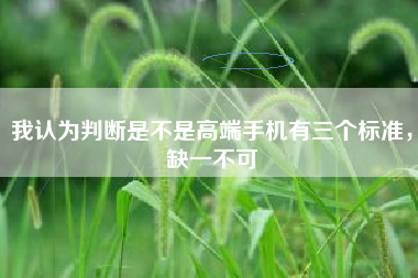 我认为判断是不是高端手机有三个标准，缺一不可