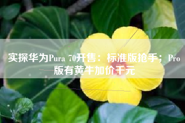 实探华为Pura 70开售：标准版抢手；Pro版有黄牛加价千元