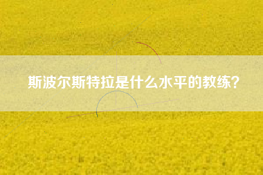 斯波尔斯特拉是什么水平的教练？