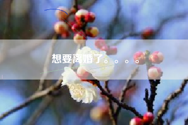 想要离婚了。。。。