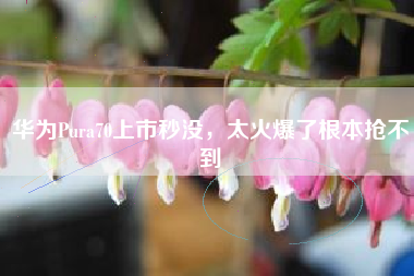 华为Pura70上市秒没，太火爆了根本抢不到