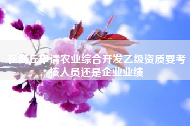 在商丘申请农业综合开发乙级资质要考核人员还是企业业绩