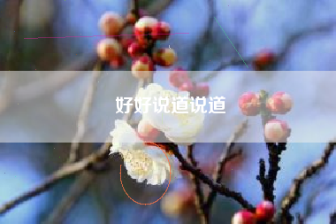 好好说道说道