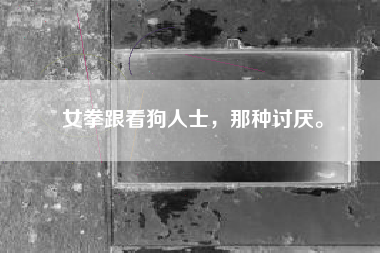 女拳跟看狗人士，那种讨厌。