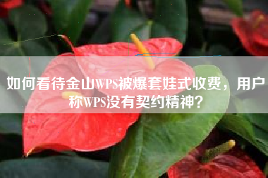 如何看待金山WPS被爆套娃式收费，用户称WPS没有契约精神？