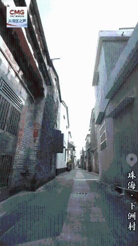 勇立潮头大湾区 | 甜蜜的事业！欢迎来大湾区开启“蜜”境田园之旅