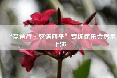 “琵琶行·弦语四季”专场民乐会悉尼上演