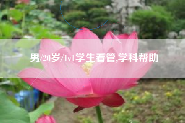 男/20岁/1v1学生看管,学科帮助