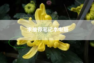 求推荐笔记本电脑