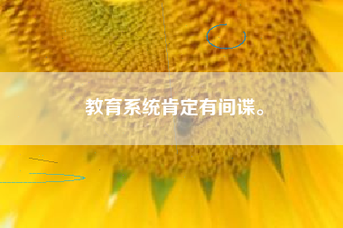 教育系统肯定有间谍。